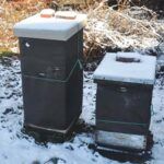 Wintering Bee Hives